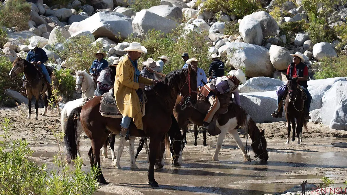 Inician preparativos para la Cabalgata Dos Mares 2025 en Los Cabos